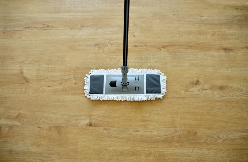 Wood Floor Cleaning