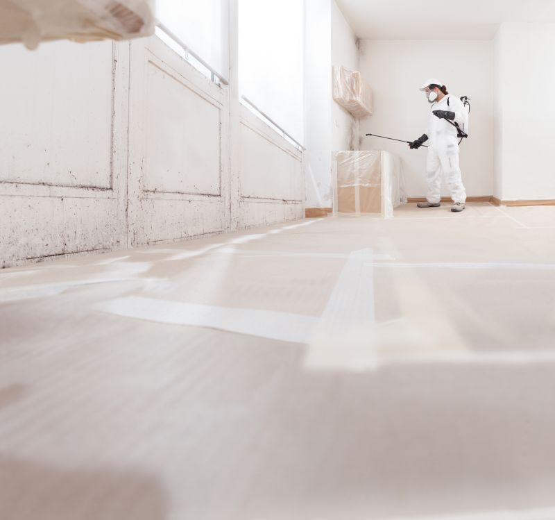 Black Mold Remediation in Essex County, NJ