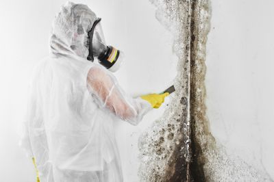 Black Mold Removal in Broward County, FL