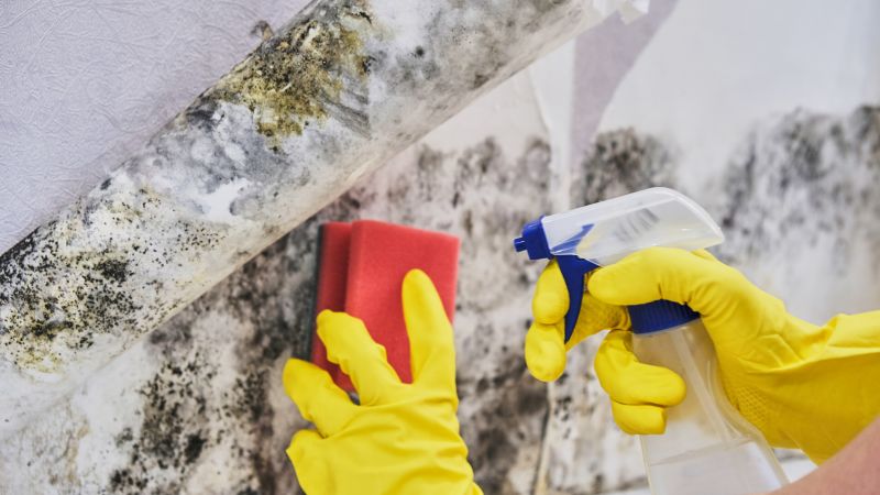 Crawl Space Mold Removal in Broward County, FL
