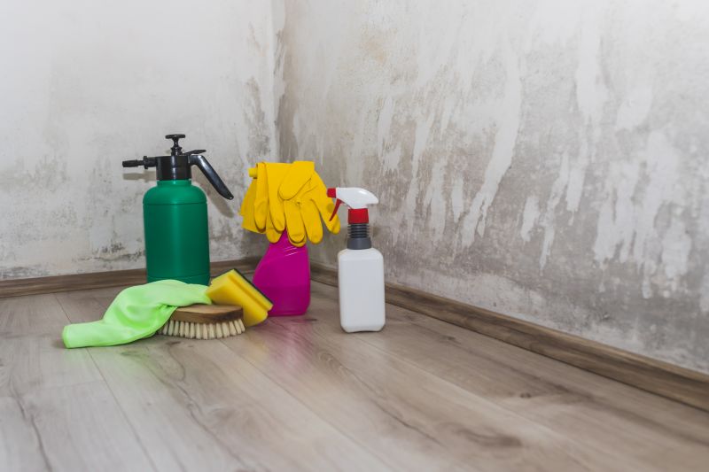 Crawlspace Mold Remediation in Essex County, NJ