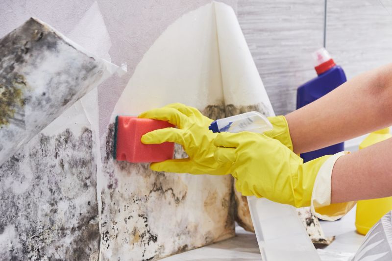 Crawlspace Mold Remediation in Frisco, TX
