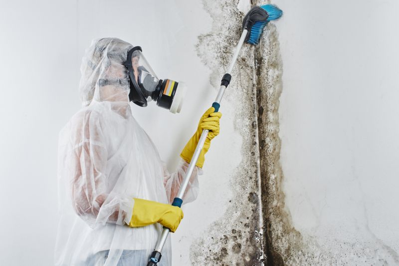 Garage Mold Remediation in Frisco, TX
