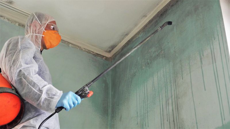 Mold Abatement Service in West Palm Beach, FL