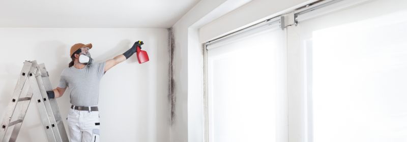 Mold Remediation Service in Dallas, TX