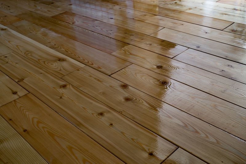 Polished Wood Floor