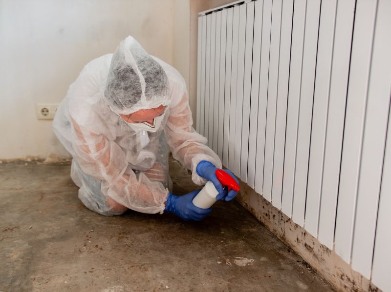 Attic Mold Removal in Boca Raton, FL