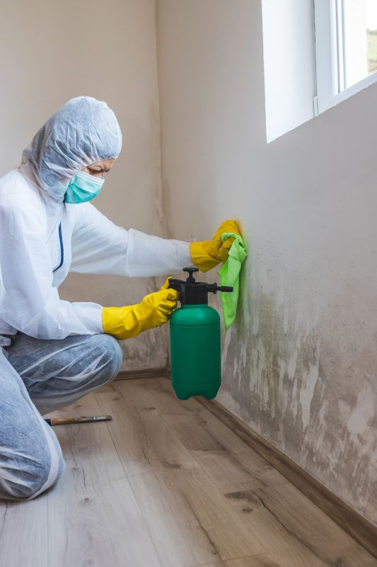 Basement Mold Remediation in Fort Lauderdale, FL