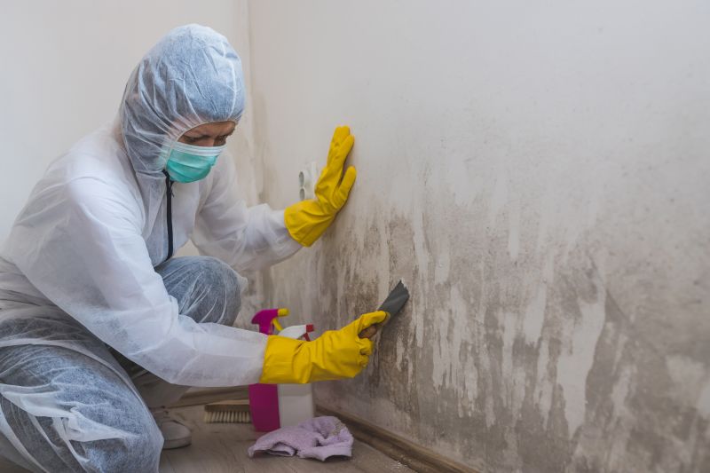 Garage Mold Remediation in Essex County, NJ