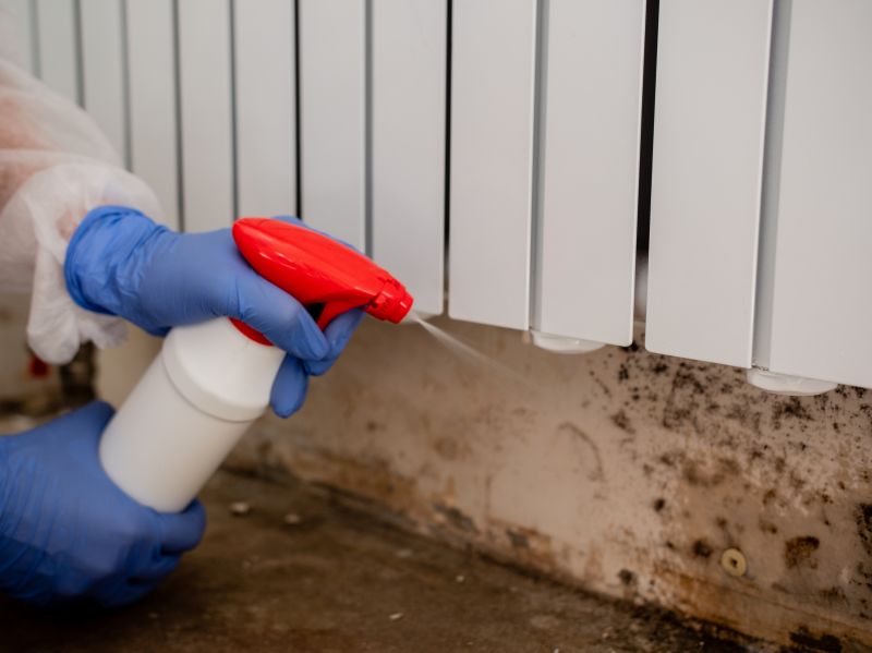 White Mold Mitigation in Frisco, TX